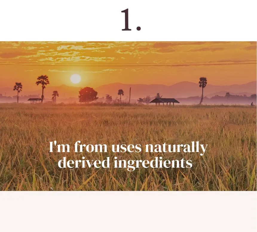 I’m From Rice Toner - Image 7